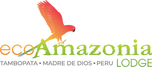 Eco Amazonia